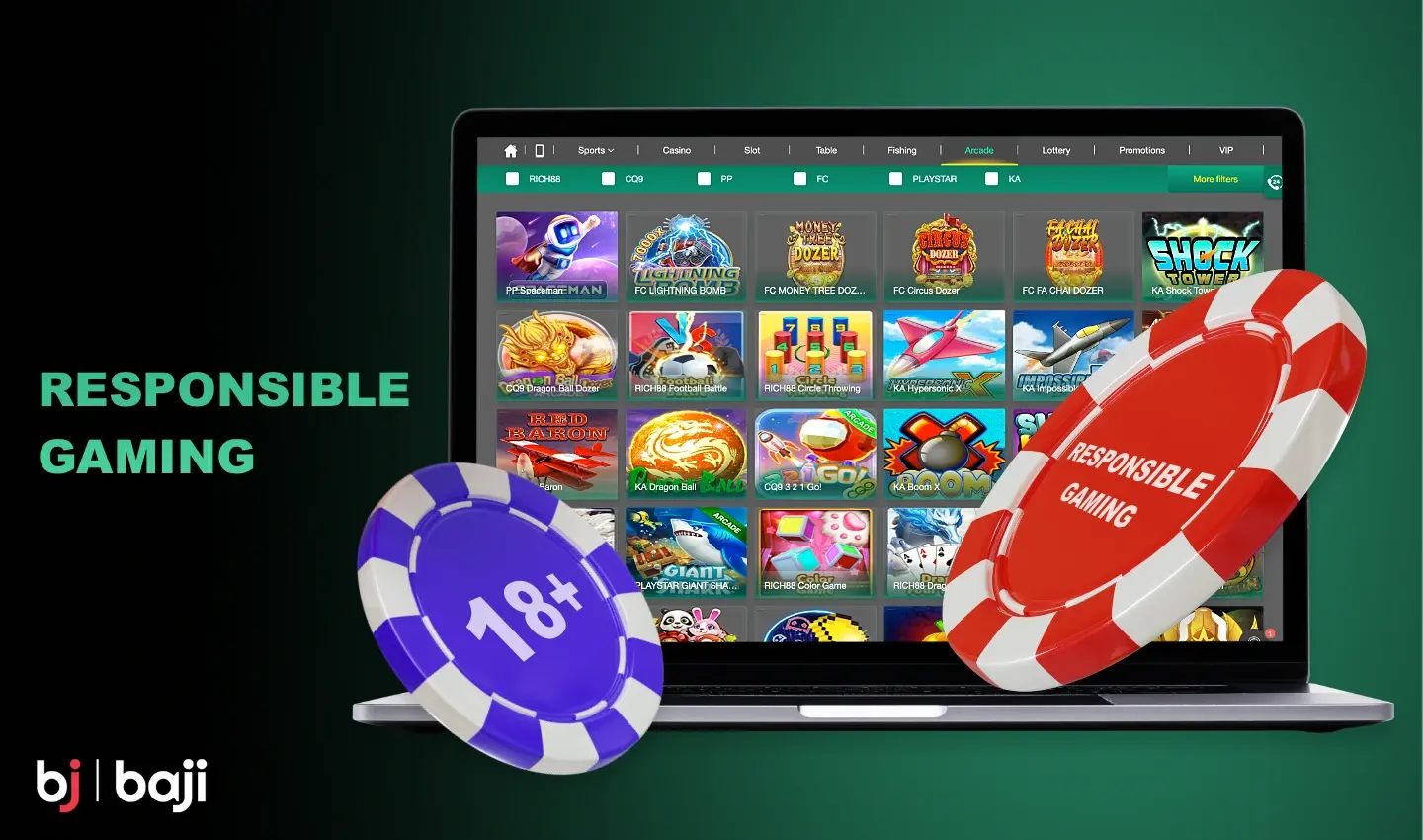 Overview of Responsible Gaming Baji